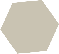 hexagone plein